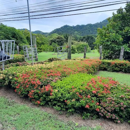 Aparthotel Cabinas El Jardin